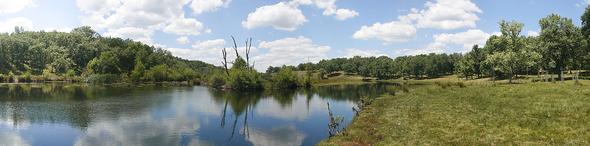 Ribera del Payo 1