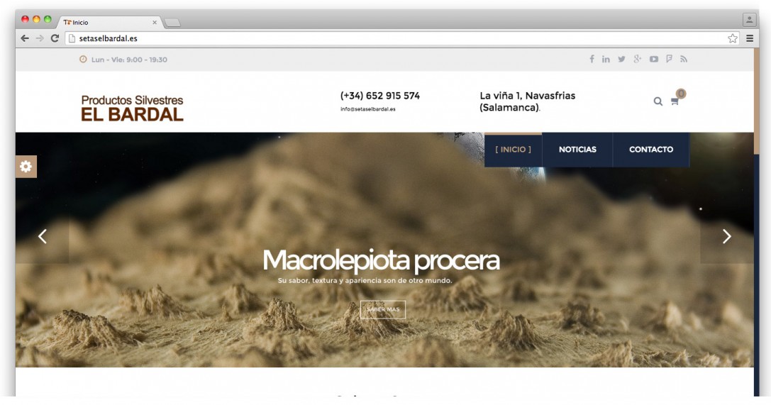 Página web de setas El Bardal