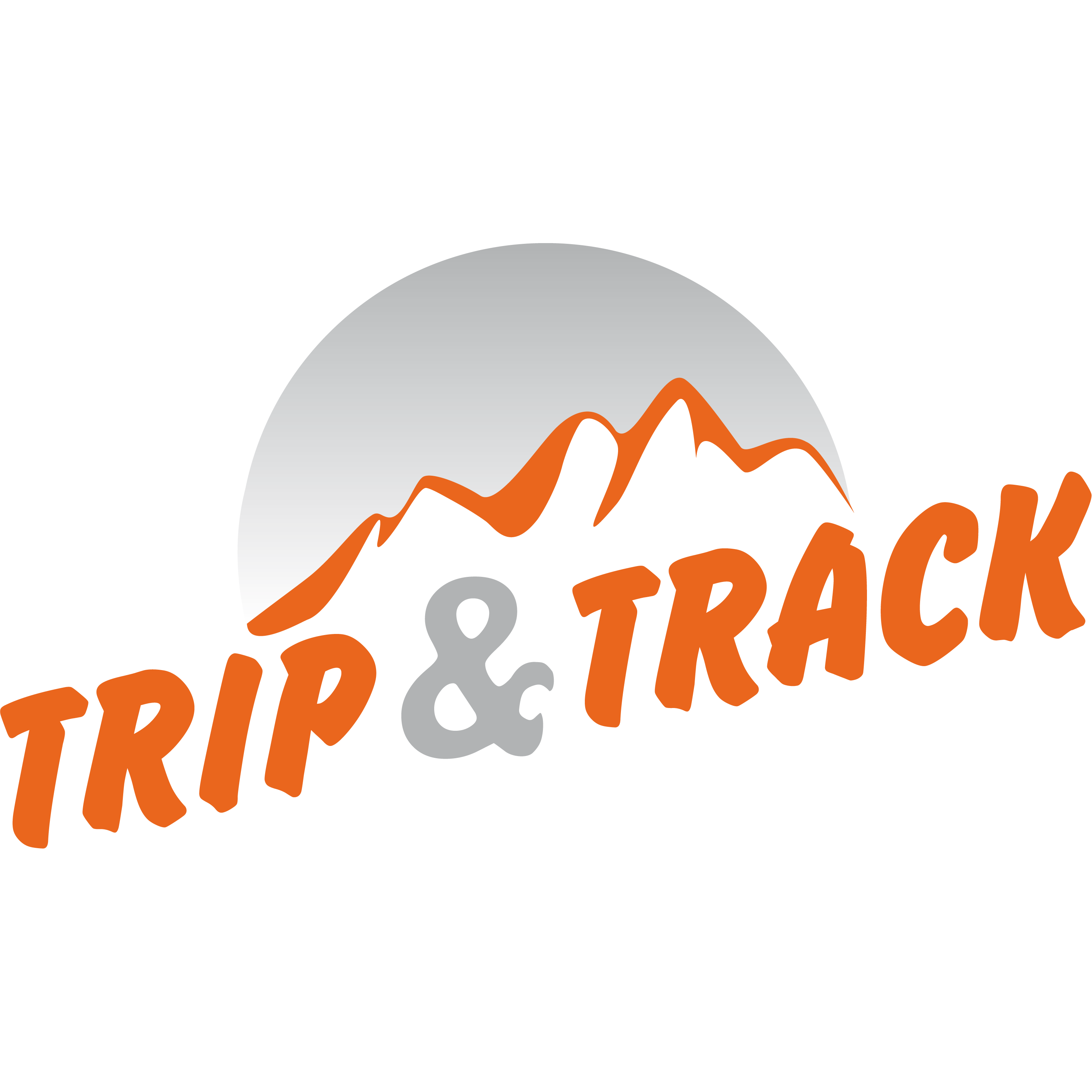 Logotipo de Trip&Track